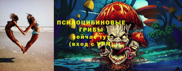прущие грибы Абдулино