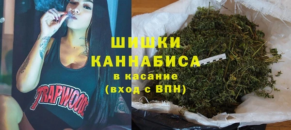 прущие грибы Абдулино