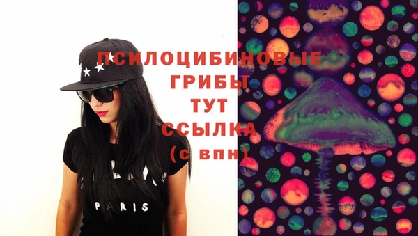 прущие грибы Абдулино